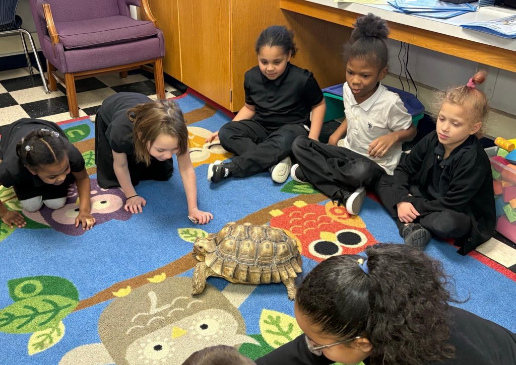 Finn Academy students learning hands-on in class